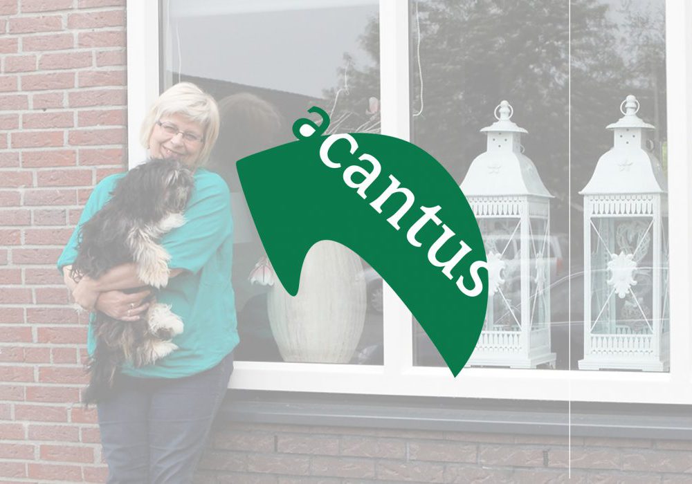 Uitleganimatie voor Acantus