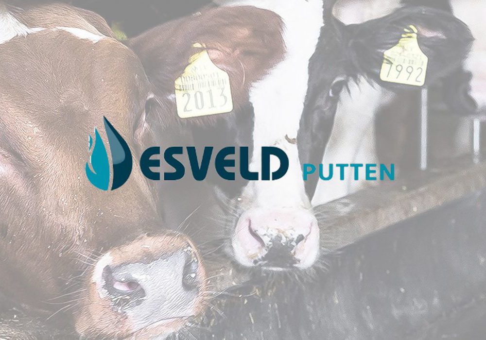 Bedrijfsfilm voor Esveld Putten